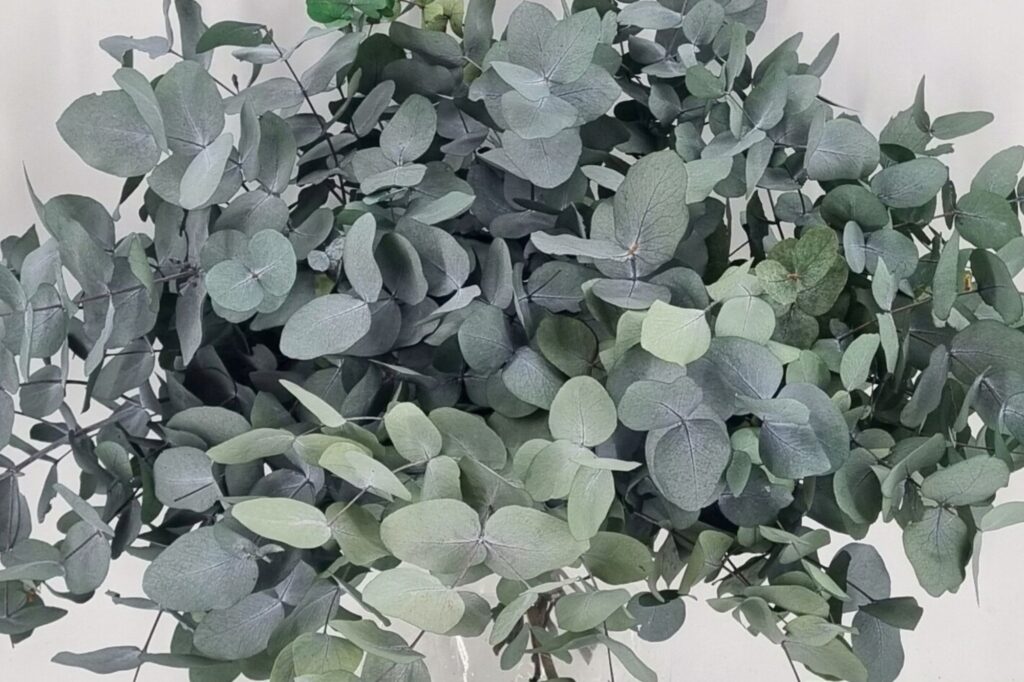 Close up of naturally preserved foliage Flowergirl NZ
